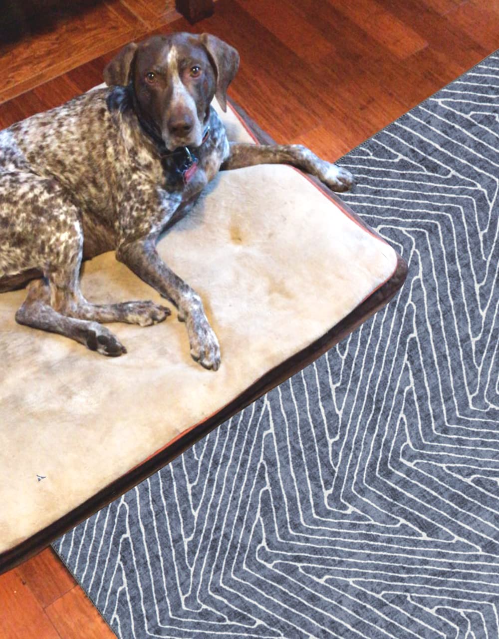 Linon Home Decor Washable Rug 5' X 7' Area Rug - Varishna Grey & Ivory | Non-Slip, Stain Resistant | Perfect for Living Room, Bedroom, Dining Room & Home Office Decor