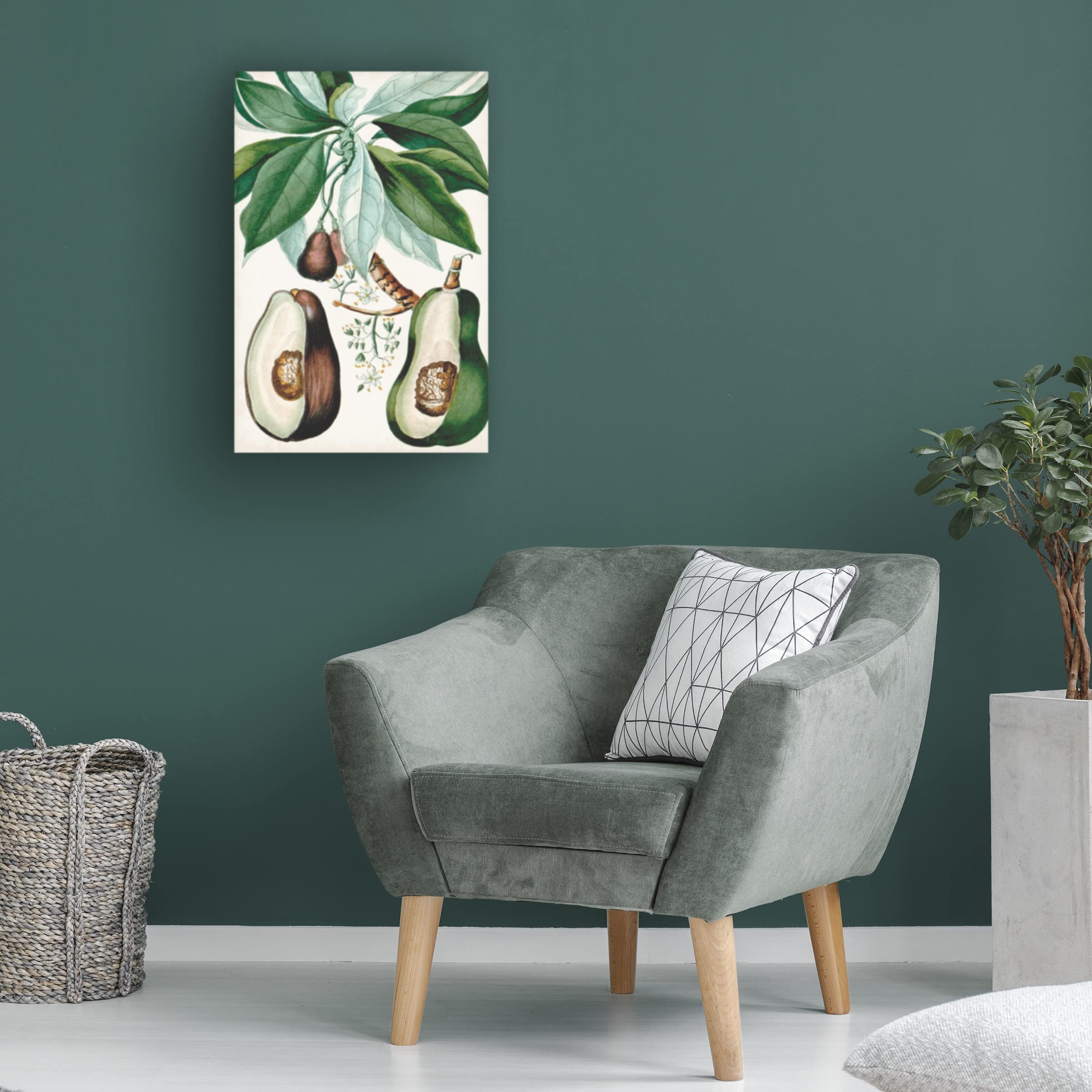 Turpin Tropical Fruit V Canvas Art Print - Vibrant Fruit Wall Decor for Kitchen, Dining Room & Home - Modern Tropical Painting by Trademark Fine Art