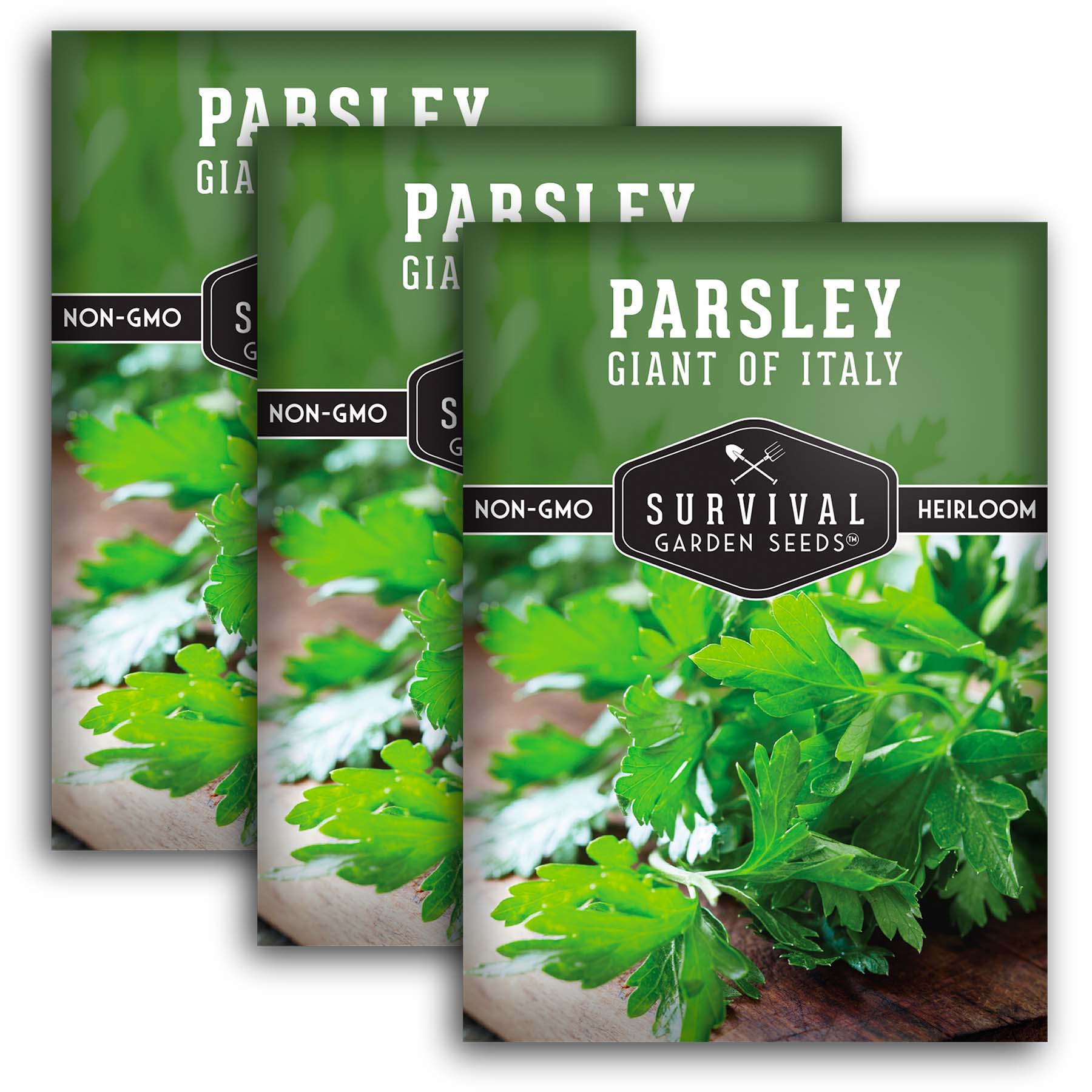 Italian Giant Parsley Seeds - Non-GMO, Heirloom Herb Seeds for Planting - Perfect for Kitchen Gardens, Indoor Herb Pots & Italian Cuisine