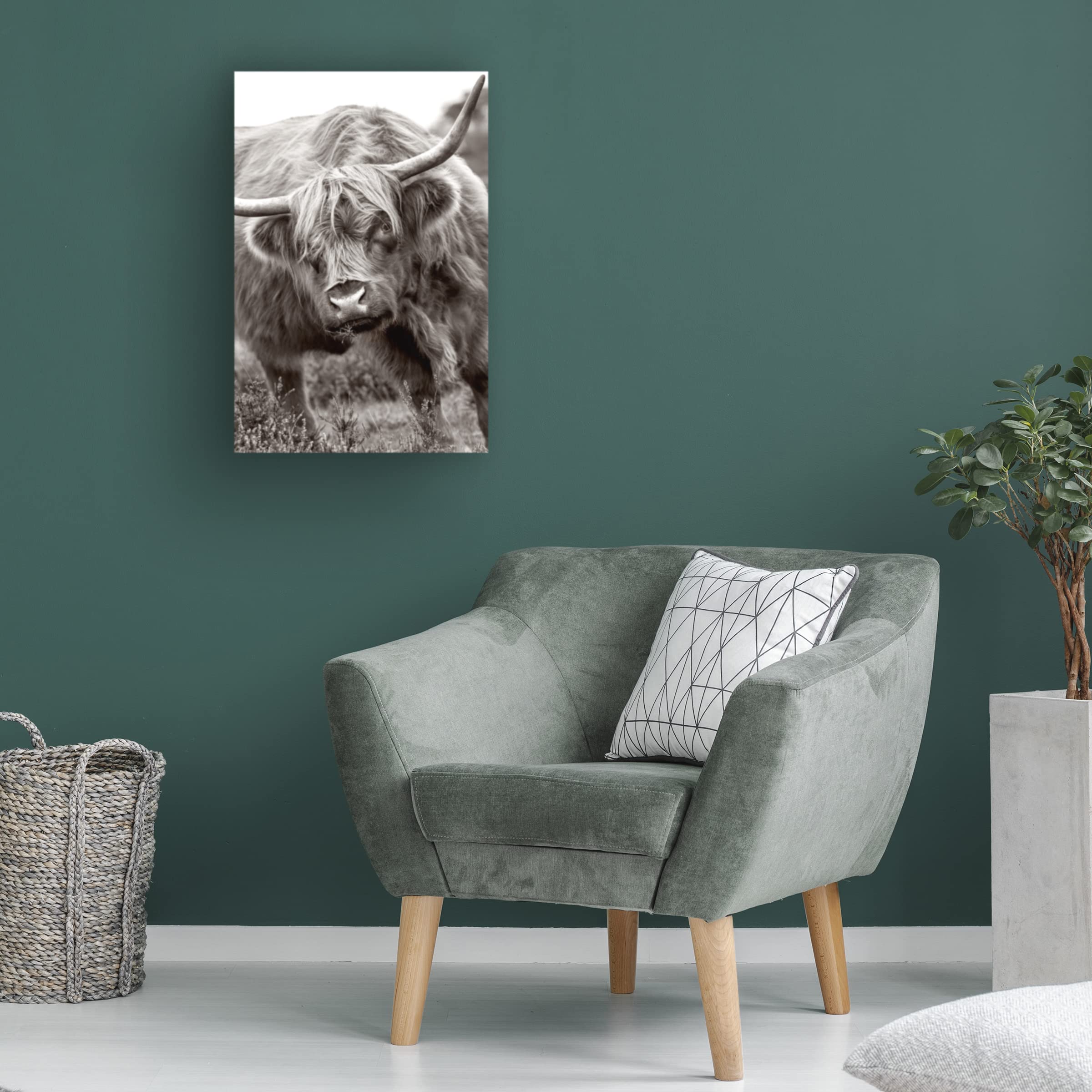 Trademark Fine Art 'The Bull' Canvas Wall Art by Jacky Parker - Modern Animal Painting for Living Room, Office & Home Decor