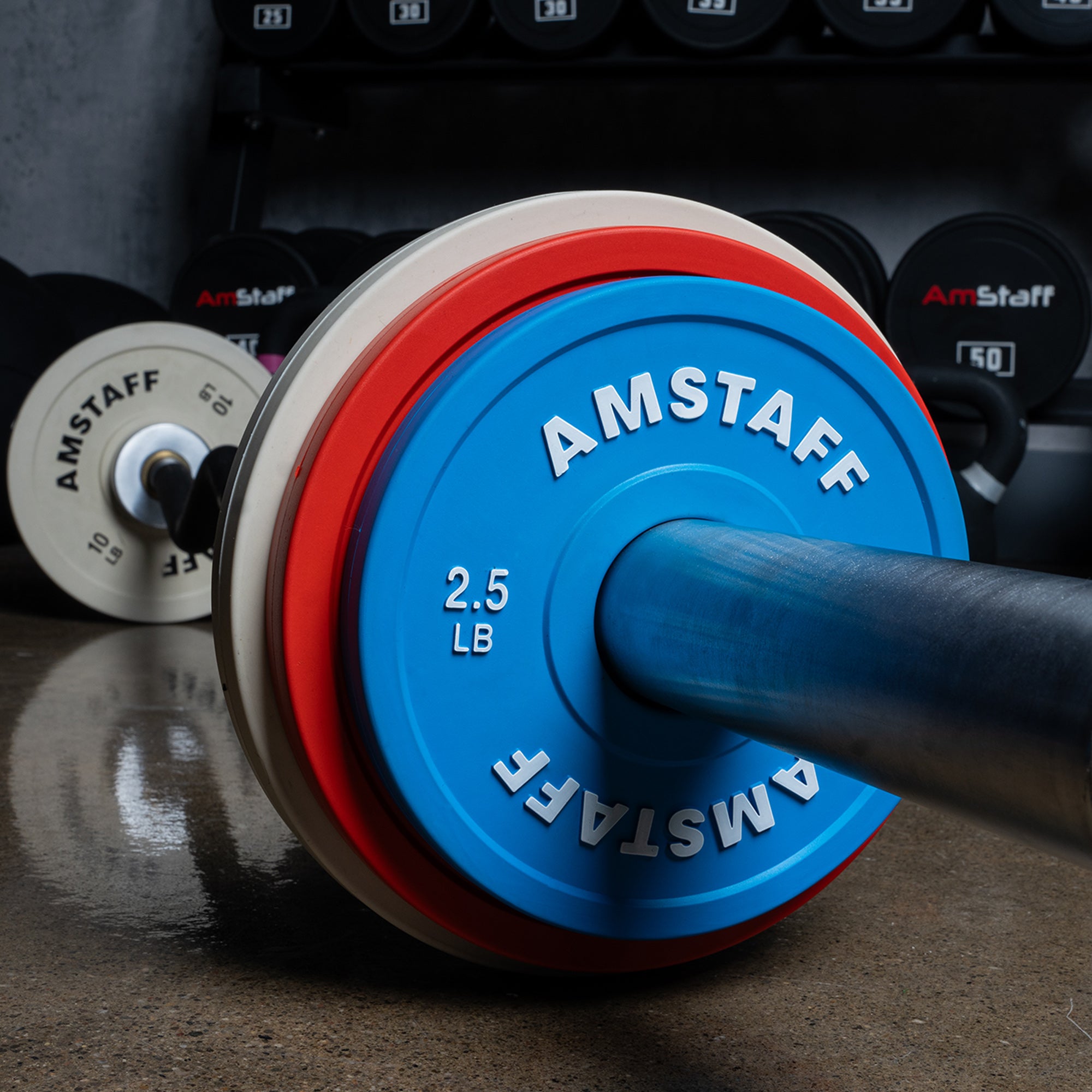 AmStaff Fitness Fractional Weight Plates - Small Change Plates for Dumbbell & Barbell Workouts - Perfect for Home Gym, Strength Training & Weightlifting Accessories