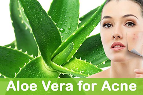 KAZIMA 100% Pure Natural Aloe Vera Gel (250g) & Coconut Oil (15ml) Combo Pack - Hair Growth Treatment, Skin Moisturizer for Dry Face & Damaged Hair - Perfect for DIY Beauty, Sunburn Relief & Daily Skincare Routine
