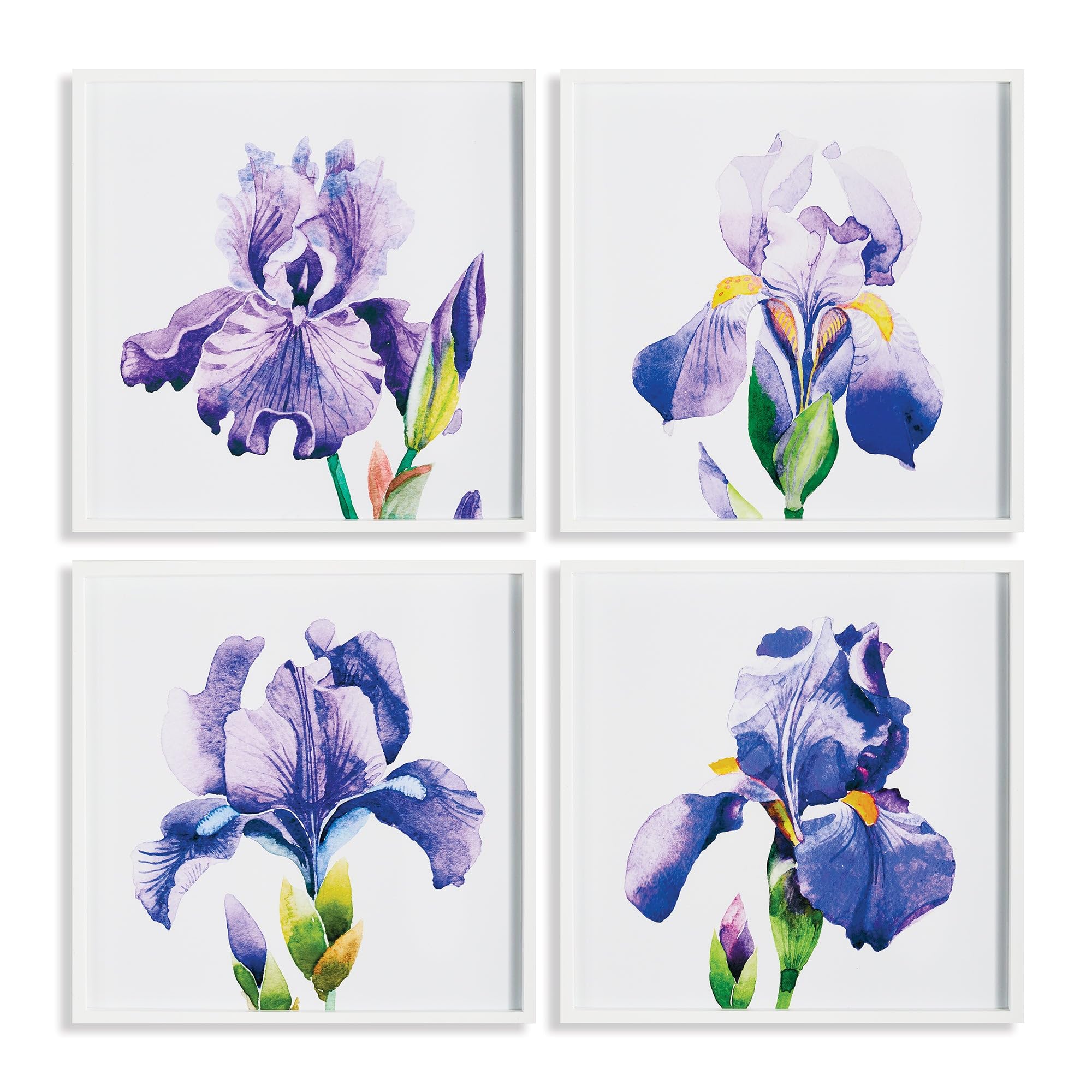 NAPA Home & Garden IRIS PRINTS 4-Piece Set - Floral Wall Art Decor for Living Room, Bedroom & Office