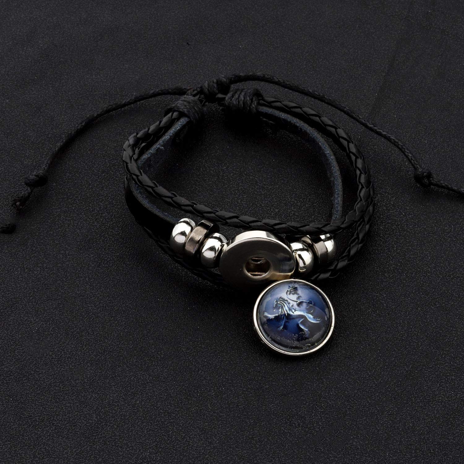 Inspired Game of Thrones Bracelet - GOT Nine Families Symbol Bracelet for Men, Unique Gift for Boyfriend, Fans & Collectors - Perfect for Cosplay, Medieval Theme Parties & TV Show Enthusiasts
