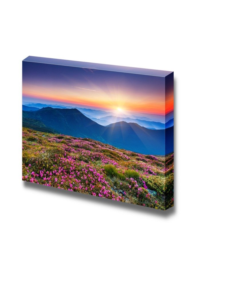 Wall26 Stretched Canvas Wall Art - Pink Rhododendron Flowers on Summer Mountain Landscape Print, Modern Home Decor Gallery Wrap Giclee (32x48 inches) - Perfect for Living Room, Bedroom & Office Decor