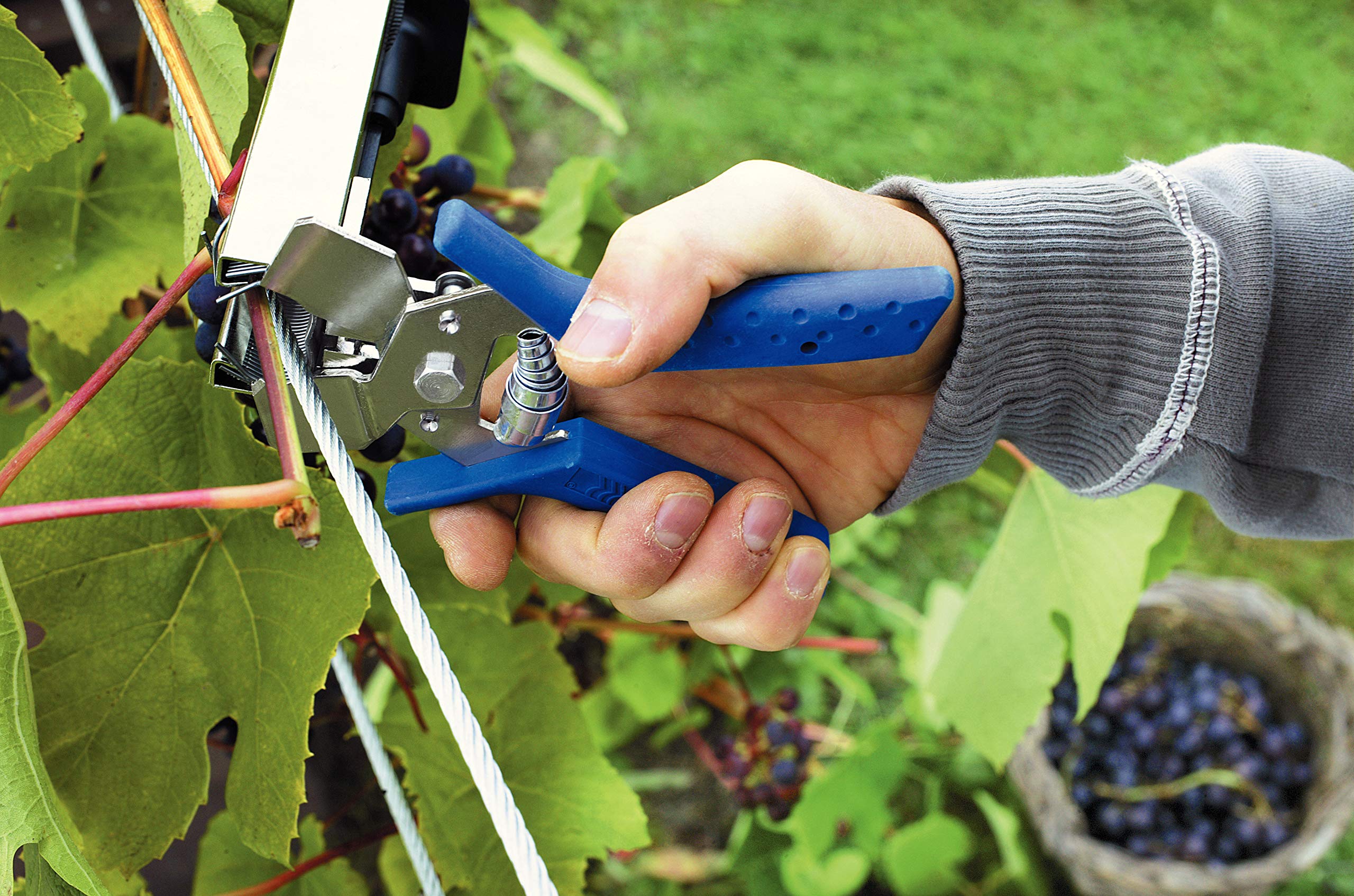 High-Performance Galvanized Vine Hog Rings C85 (6-20mm) - 5000pcs for Fencing, Trellising & Vineyard Maintenance - Corrosion Resistant Fasteners for Agriculture & Gardening