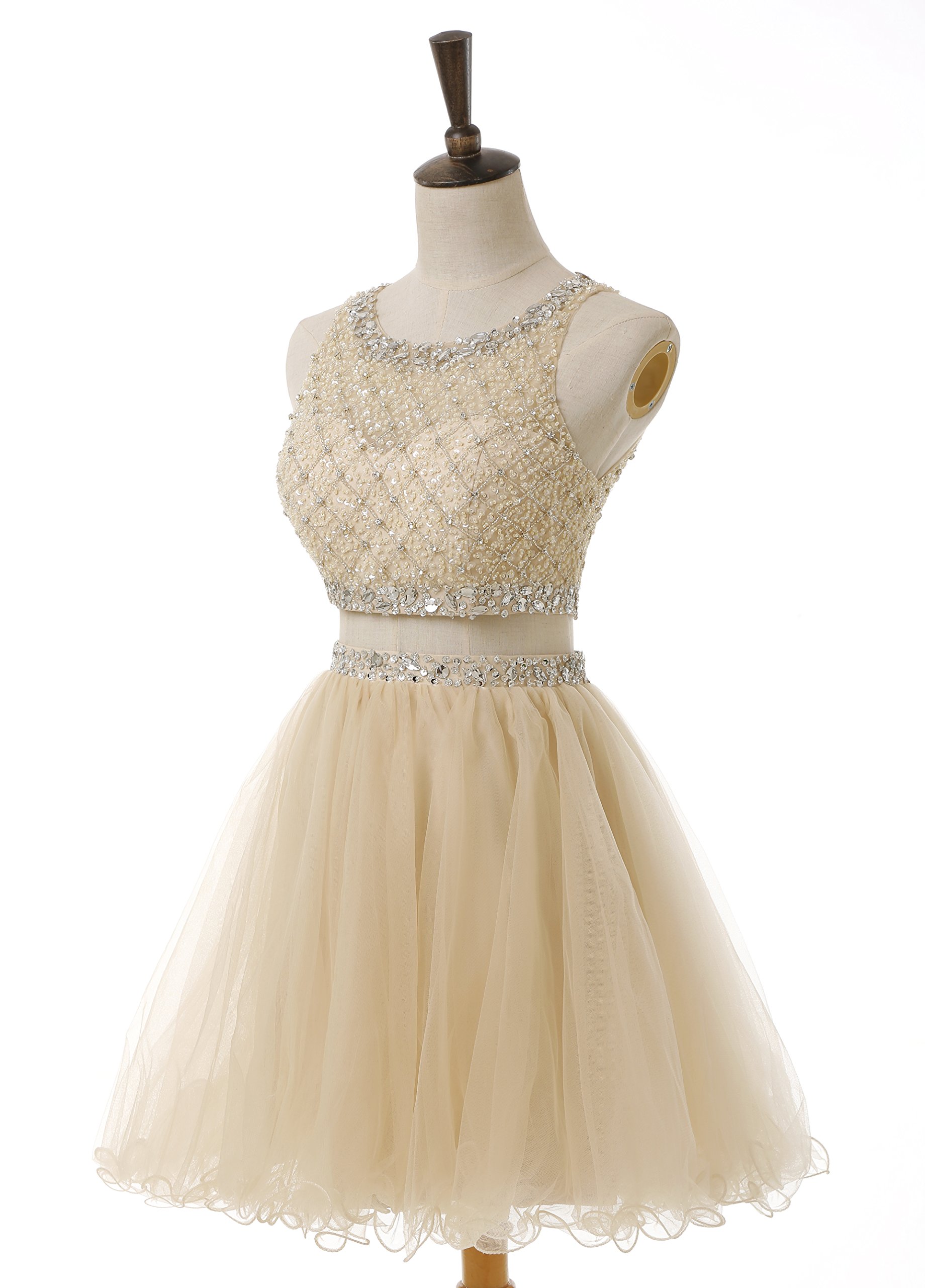 Elegant Short Two-Piece Tulle Prom Dress with Beaded Bodice - Homecoming Party Dress BD077 | Perfect for Prom Night, Homecoming Dance & Special Occasions