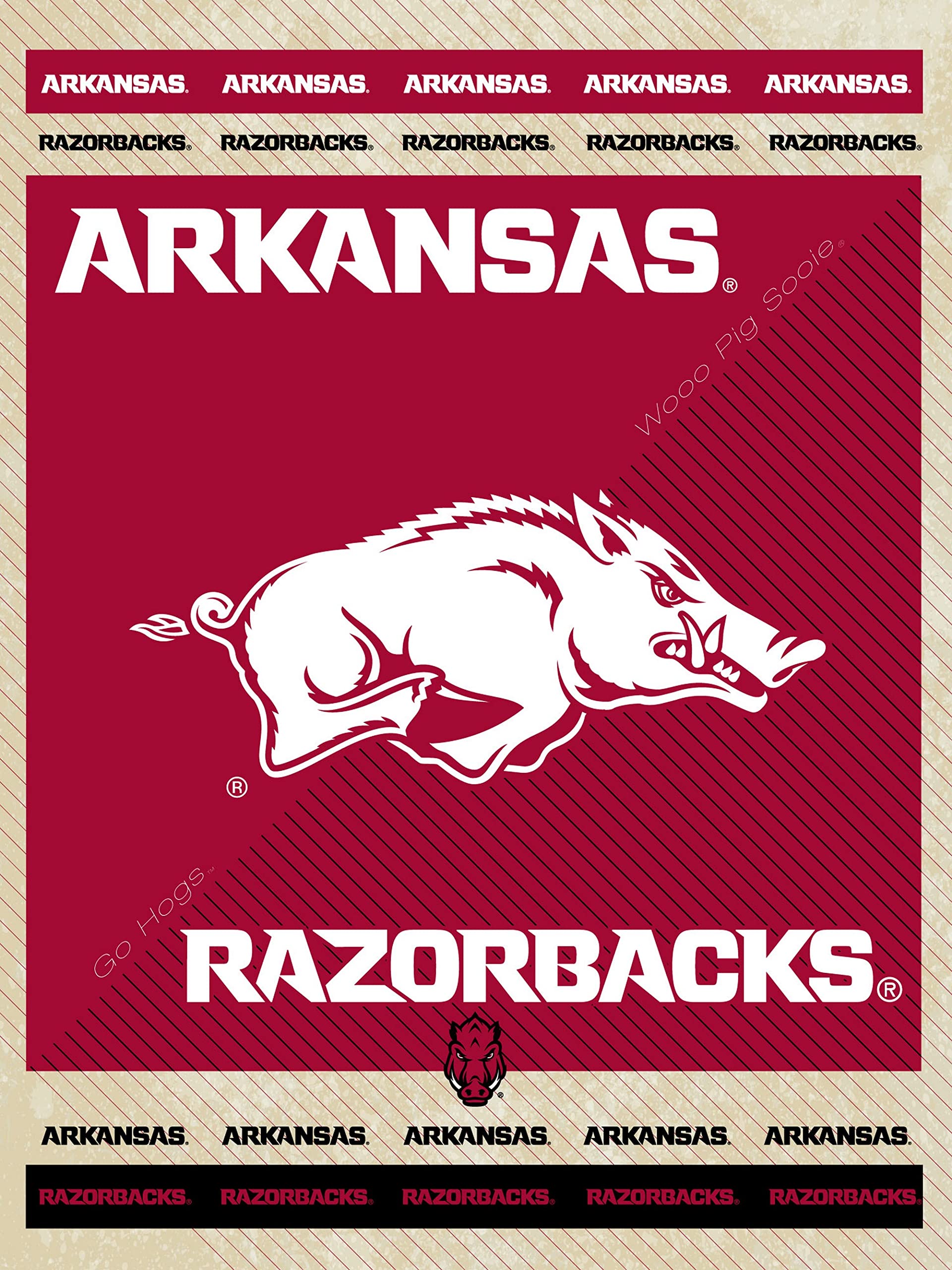 University of Arkansas Canvas Wall Art - Razorbacks College Dorm Decor - Perfect for Bedroom, Living Room & Office Wall Decor
