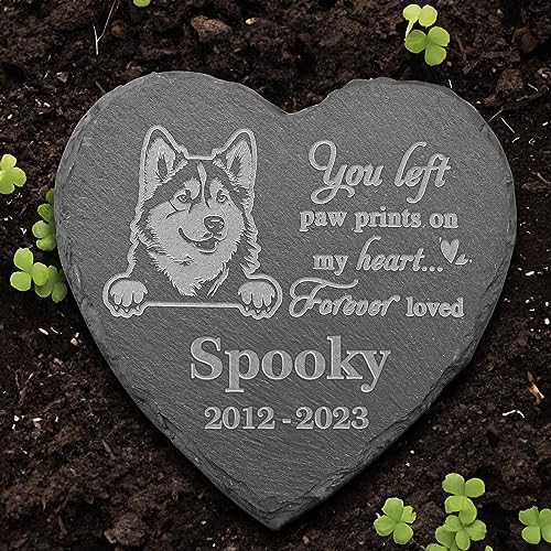 Alaskan Malamute