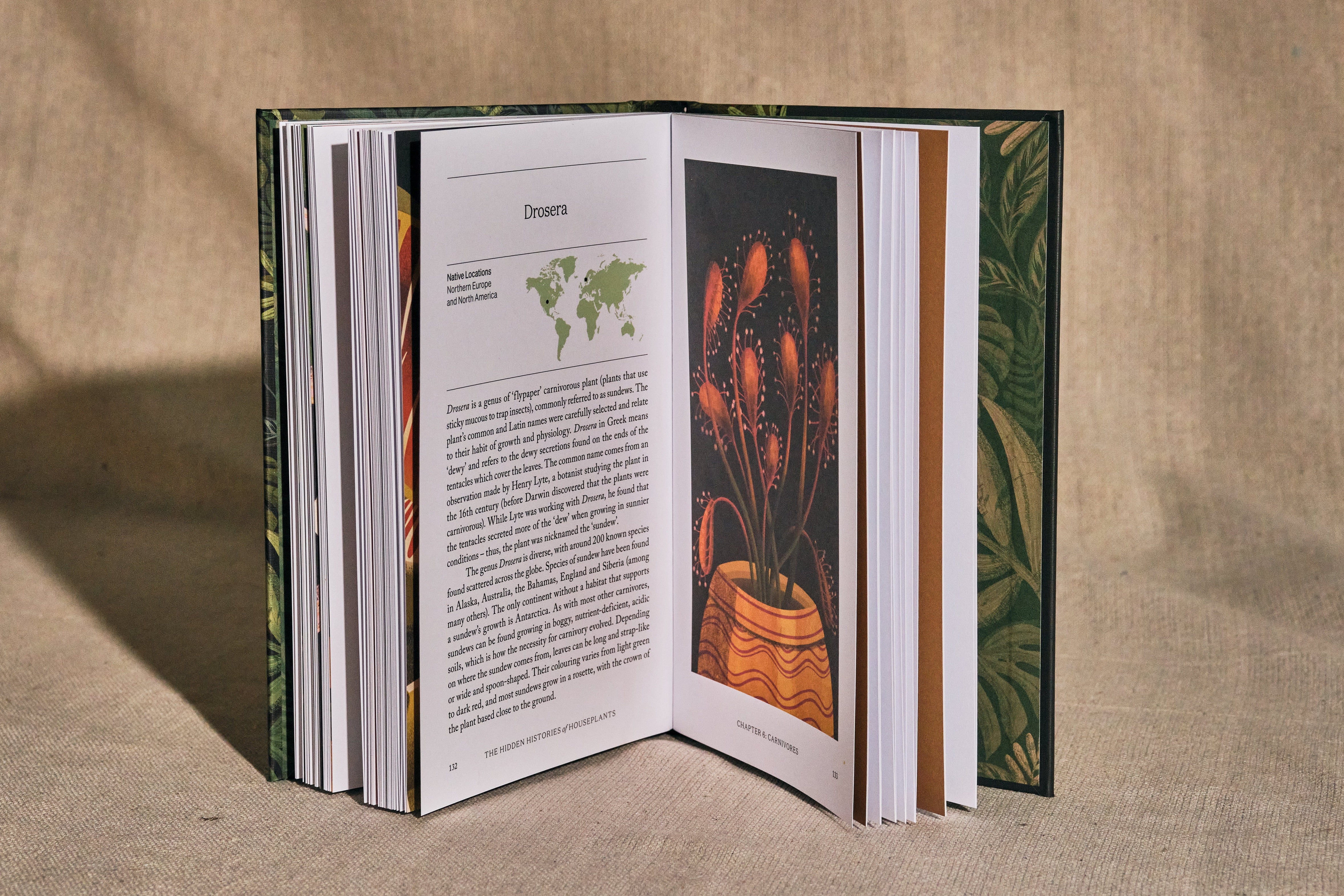 Discover the Hidden Histories of House Plants - Indoor Gardening Secrets, Rare Species & Care Tips for Home Decor & Wellness
