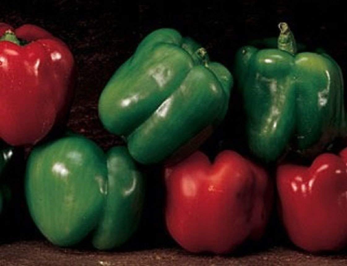 Non-GMO Heirloom Emerald Giant Sweet Pepper Seeds - 50 Seeds for High Yield Organic Gardening | Perfect for Home Gardens, Greenhouses & Urban Farming