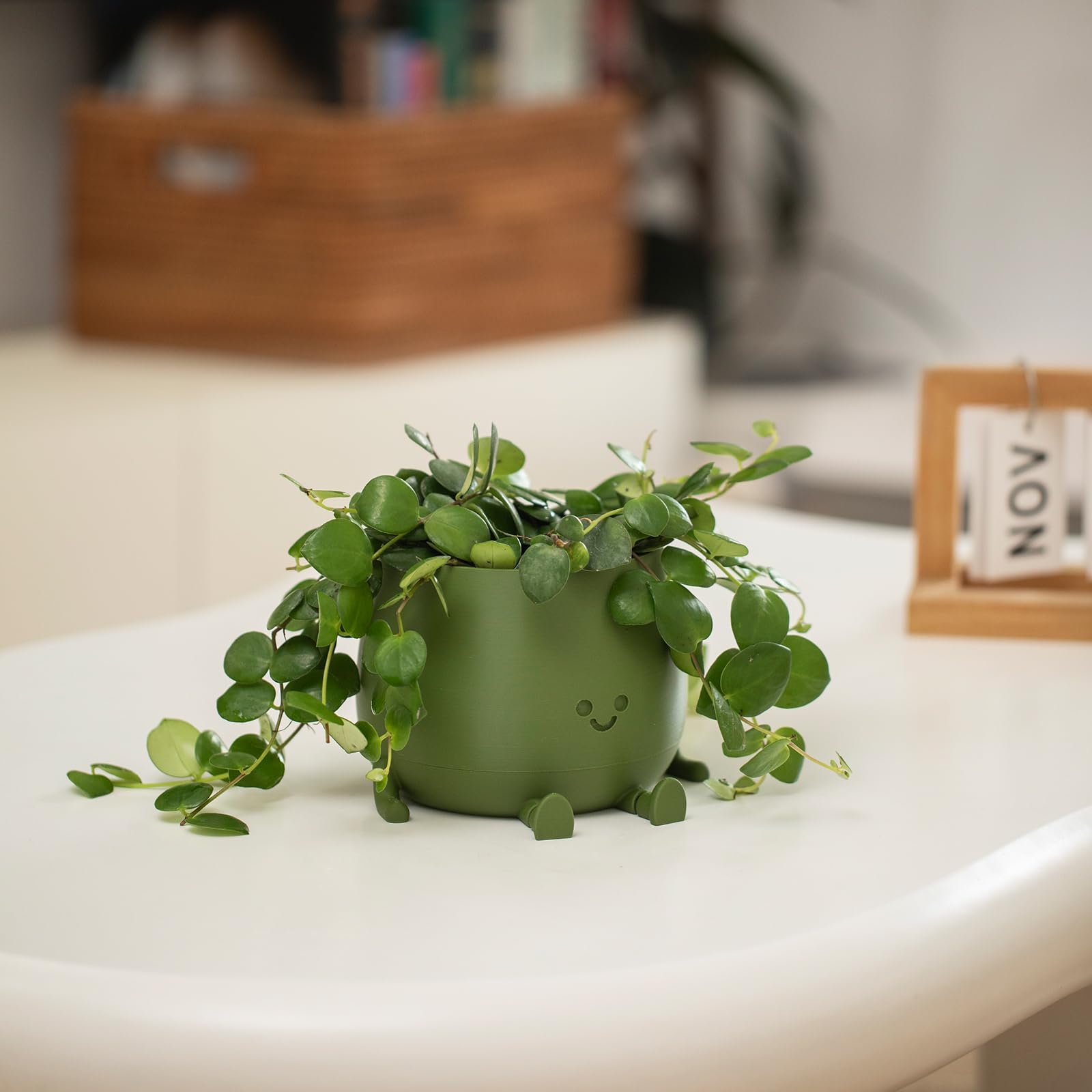 TOPOLA Happy Face Planter - 5.2 Inch Self Watering Plastic Flower Pot with Drainage Holes for Succulents, Indoor & Outdoor Plants - Funny Dark Green Decorative Planter for Home, Office & Garden Decor