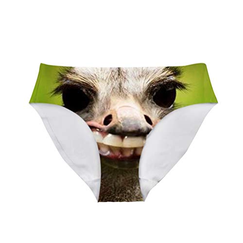 Ostrich