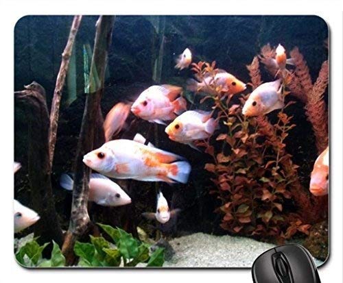 Fish Themed Gaming Mouse Pad - School of Fish Design Non-Slip Surface | Perfect for PC Gaming, Office Work & Home Computer Use