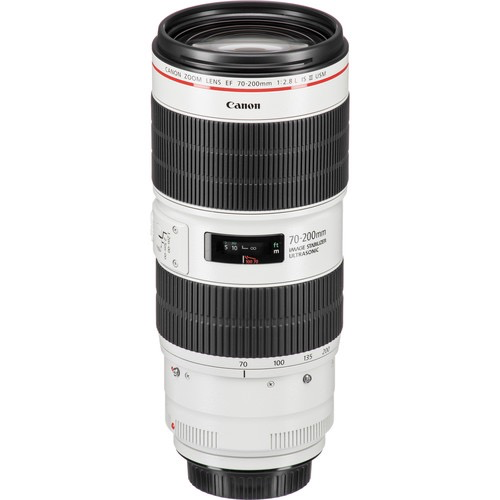 Canon EF 70-200mm f/2.8L IS III USM Telephoto Zoom Lens for Professional Photography, Sports & Wildlife - Fast Aperture, Image Stabilization, Weather Sealed
