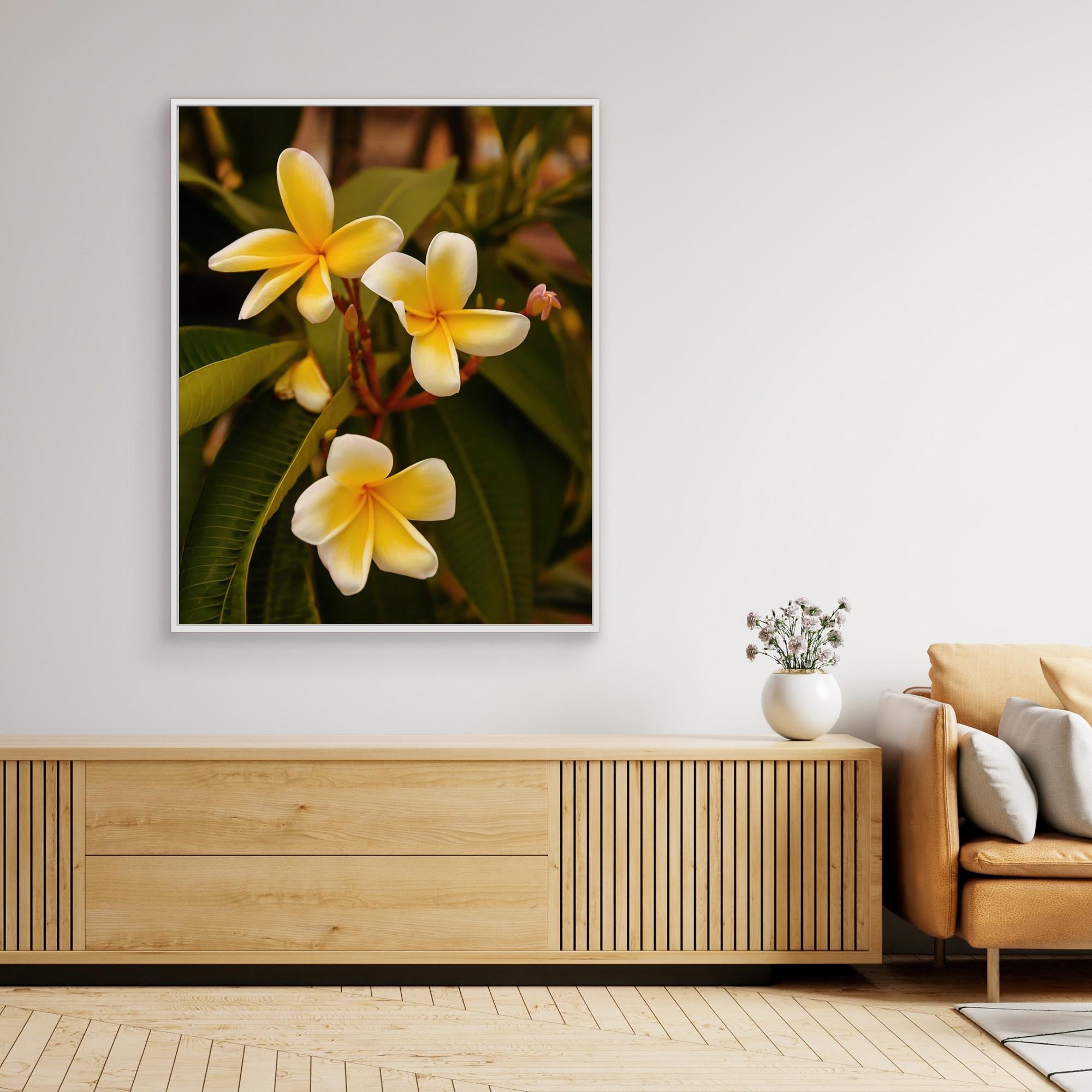 Beautiful Plumerias Canvas Print by Del Mundo Imagery - Tropical Flower Wall Art for Home, Office & Living Room Decor