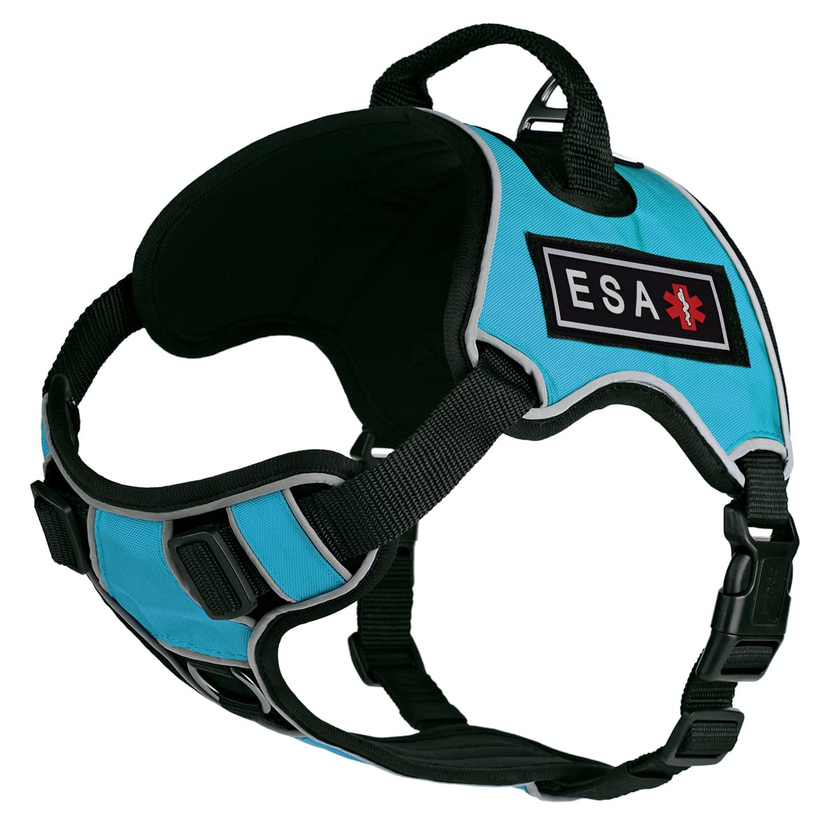 No-Pull Dog Harness with Reflective Patches & Quick Release Buckles - Comfortable Soft Vest for Medium Dogs 21-25 inches (Teal) - Perfect for Walking, Training & Outdoor Adventures with Your ESA Pet