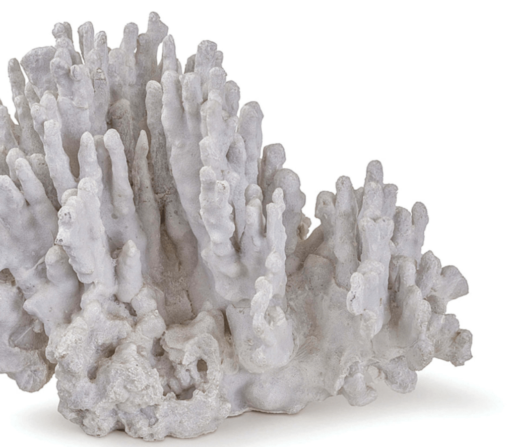 Large White Coral Art Piece - Elegant Home Decor for Living Room, Office & Beach House