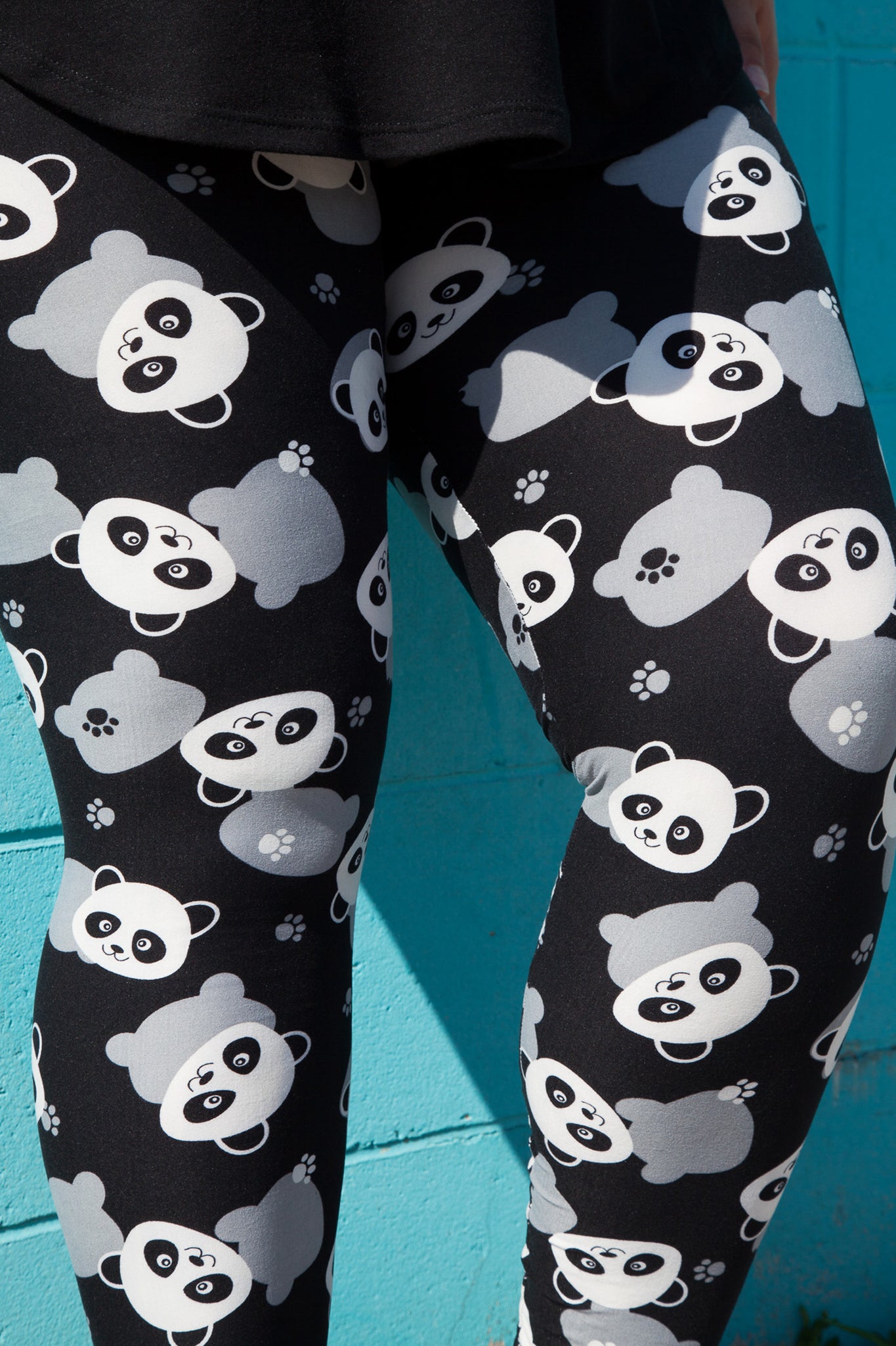 Pandamonium Plus (3X 5X) - Premium Quality for Enhanced Performance | Perfect for Home, Office & Outdoor Use