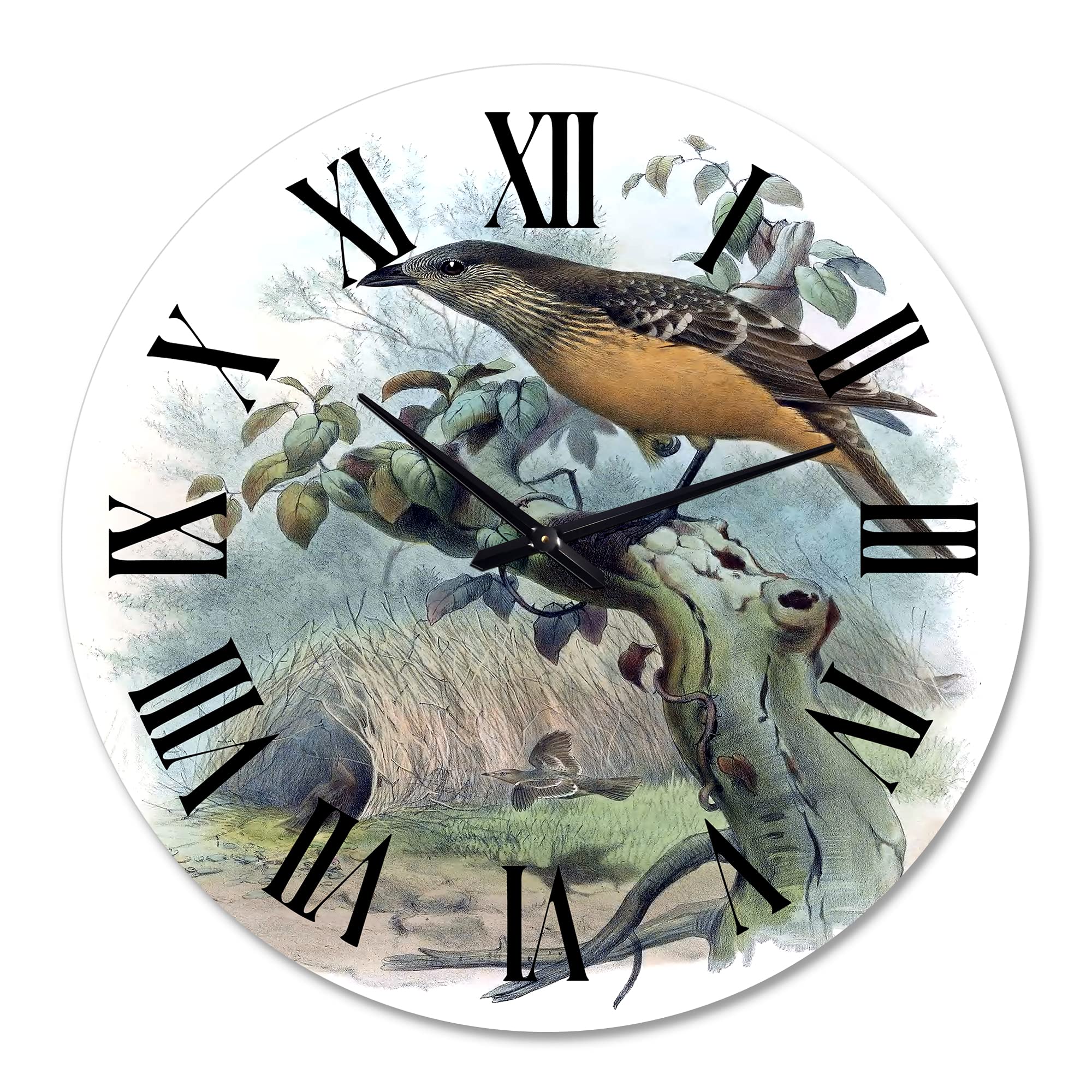 DesignQ Traditional Wall Clock 'A Monograph of The Paradise Birds' - Large Landscape Nature Wall Clock for Living Room, Bedroom & Office Decor - Perfect for Home, Office and Gift Giving