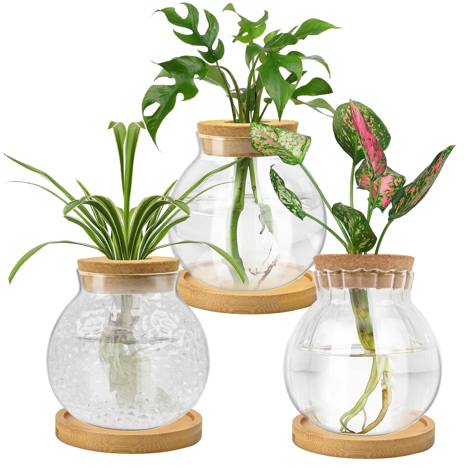 Glass Plant Propagation Station with Wooden Tray - Hydroponic Water Planter for Indoor Plants | Home Office Desktop Decor, Perfect for Herbs, Succulents & Plant Lovers | Ideal for Windowsills, Kitchen Countertops & Workspace Greenery