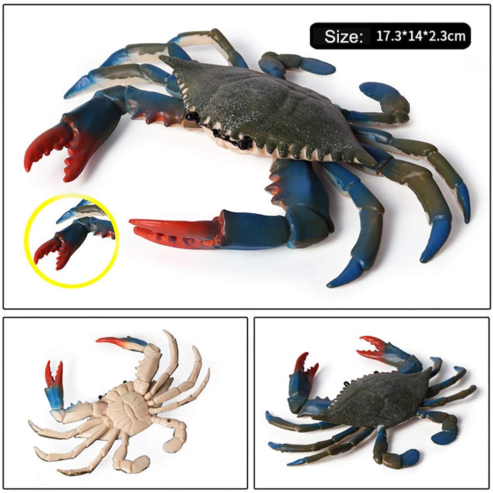 Realistic Crab Marine Animal Toy Set - 2 Pcs Lifelike Sea Creature Figurines for Ocean Science Education & Collectors | Perfect for Classroom Learning, Aquarium Decor & Kids Playtime