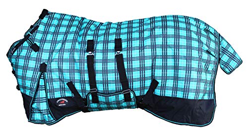 Turquoise Plaid