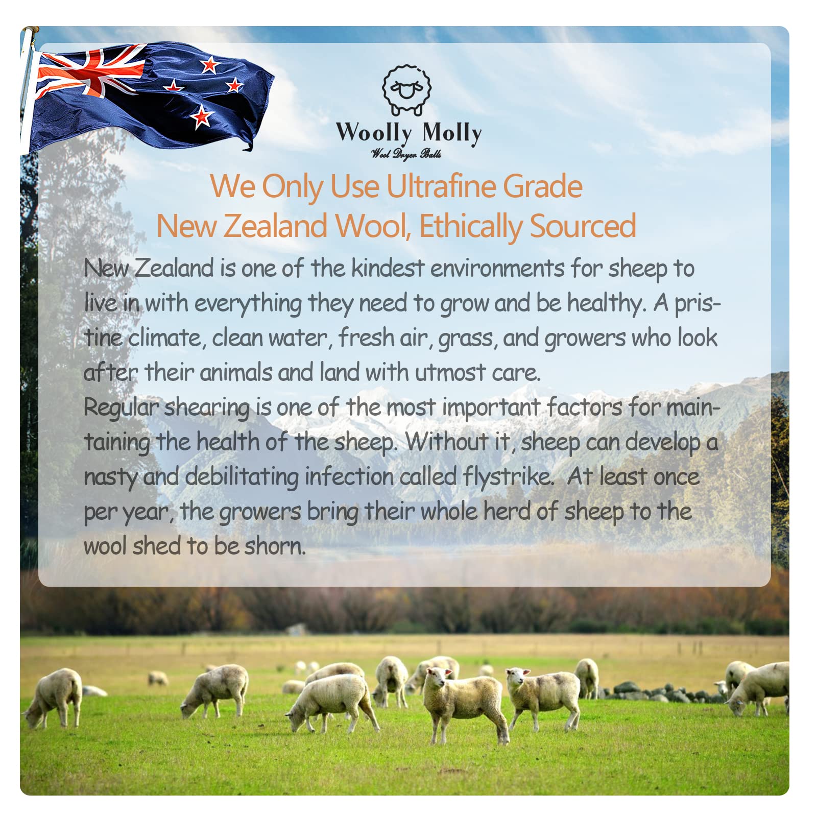 Organic Wool Dryer Balls XL Pack of 6 - Premium New Zealand Wool, Reusable Fabric Softener for 1000+ Loads | Hypoallergenic, Baby Safe & Energy Saving | Perfect for Laundry, Baby Clothes & Eco-Friendly Homes