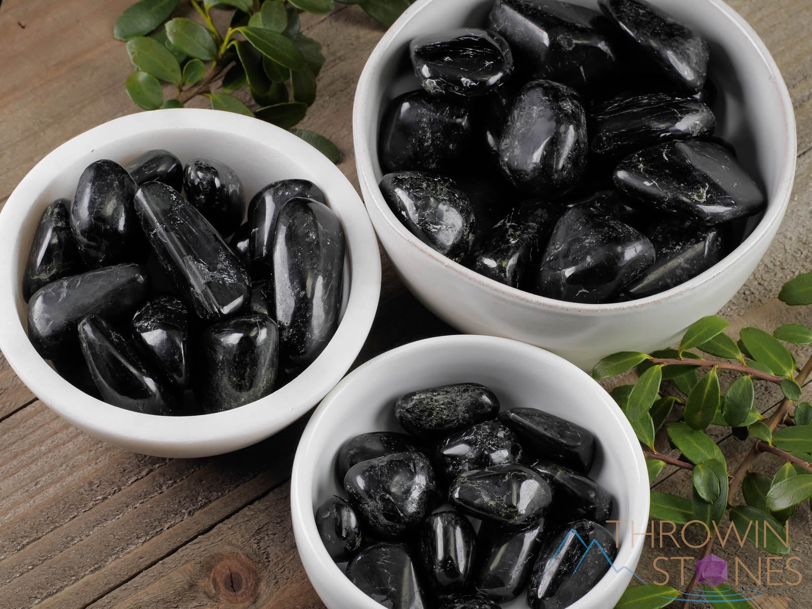 Black Star Diopside Tumbled Stones - Natural Healing Crystals for Meditation, Reiki, and Chakra Balancing - Self Care Gemstones for Relaxation & Spiritual Growth (E1447)