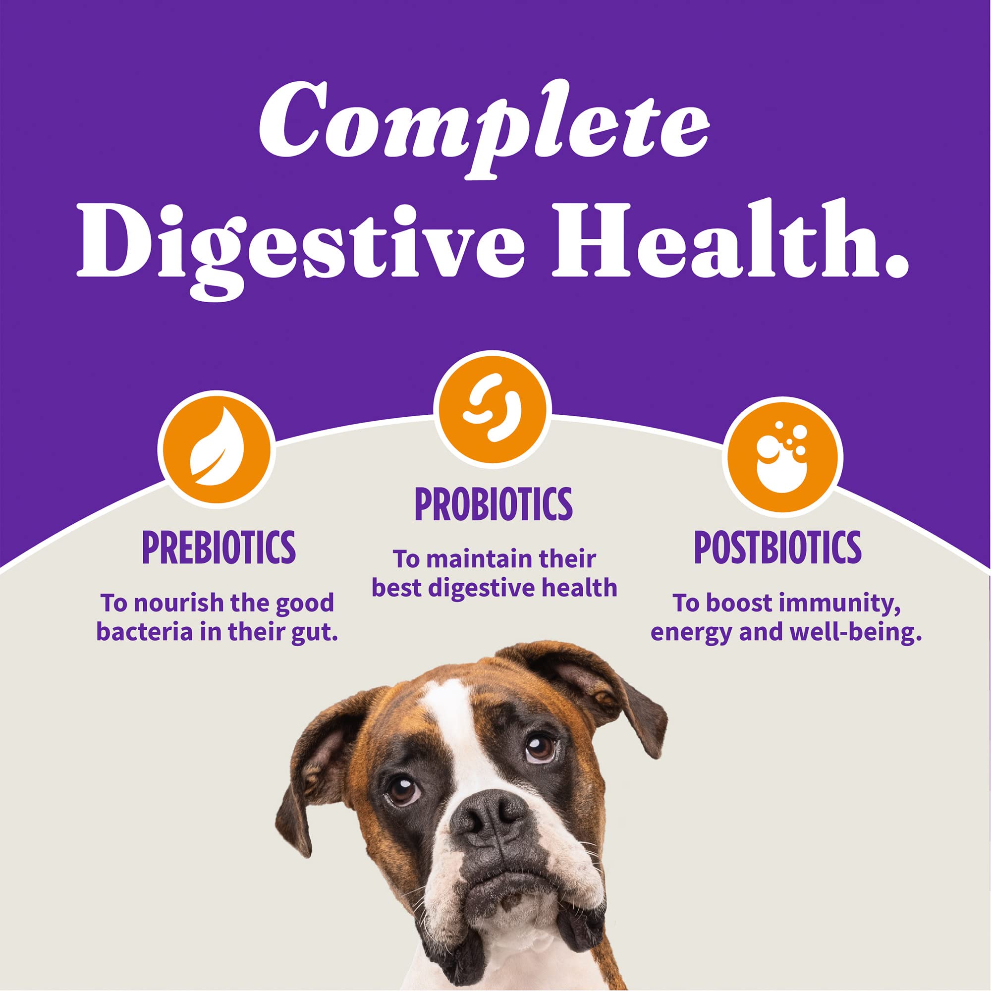 Halo Holistic Puppy Dry Dog Food - Cage Free Chicken & Brown Rice Recipe with Healthy Grains for Complete Digestive Health - 10 lb Bag - Perfect for Growing Puppies and Sensitive Stomachs