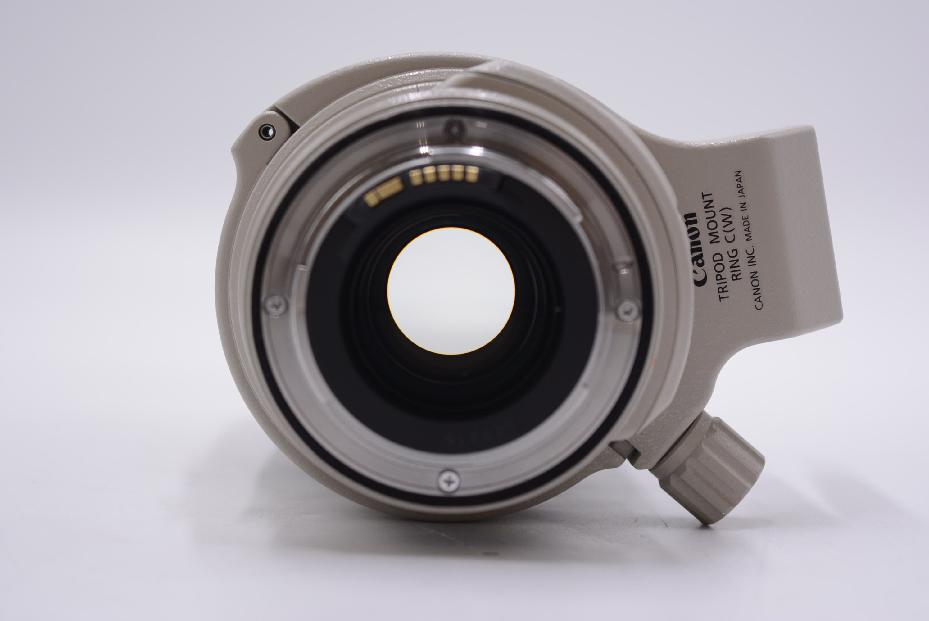 Canon EF 28-300mm f/3.5-5.6 L IS USM Telephoto Zoom Lens - Professional DSLR Camera Lens for Photography & Videography - Used (Great Condition) - Perfect for Travel, Wildlife, and Sports Photography