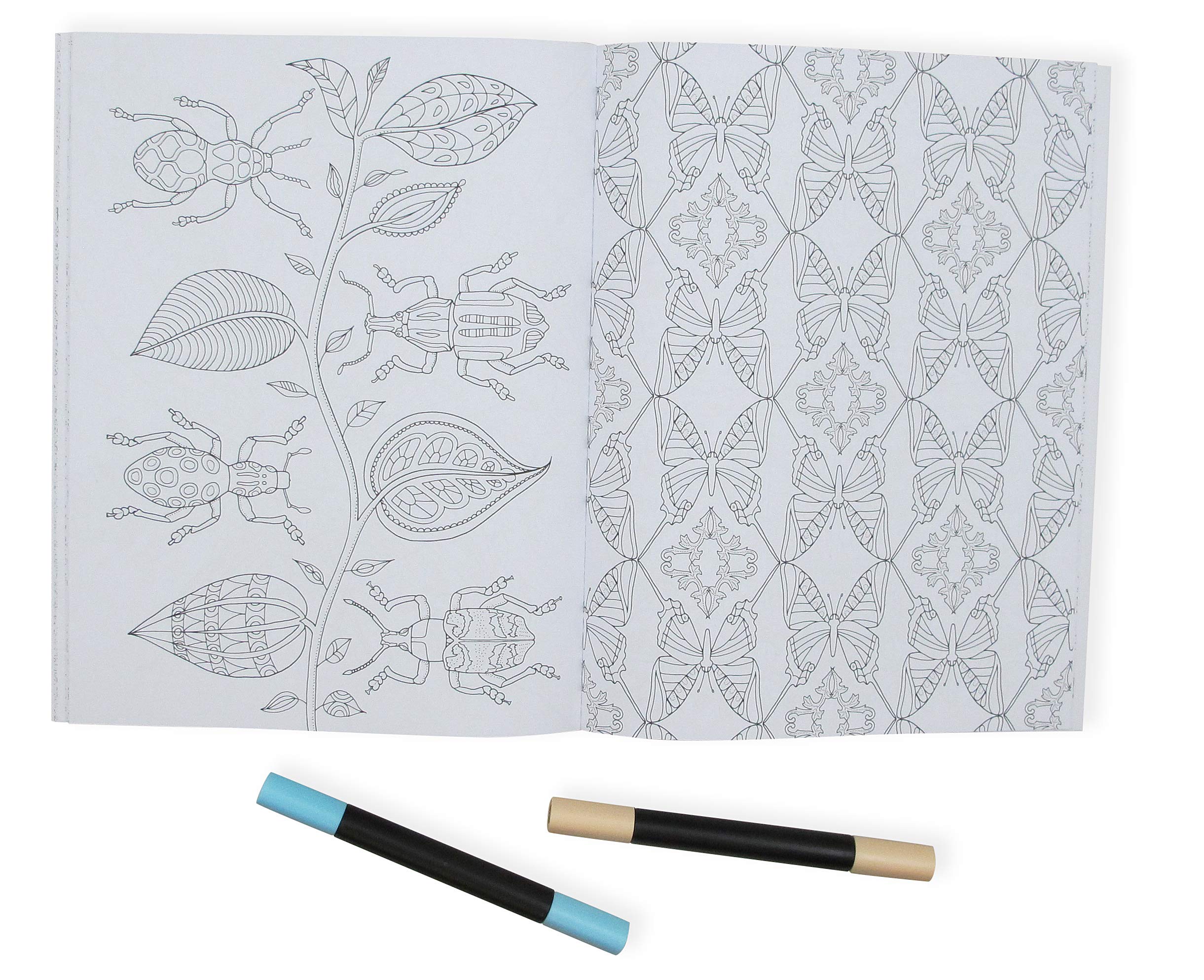 Wonderful Insects Coloring Book for Kids & Adults - Creative Relaxation & Educational Fun | Perfect for Classroom, Home & Gifts