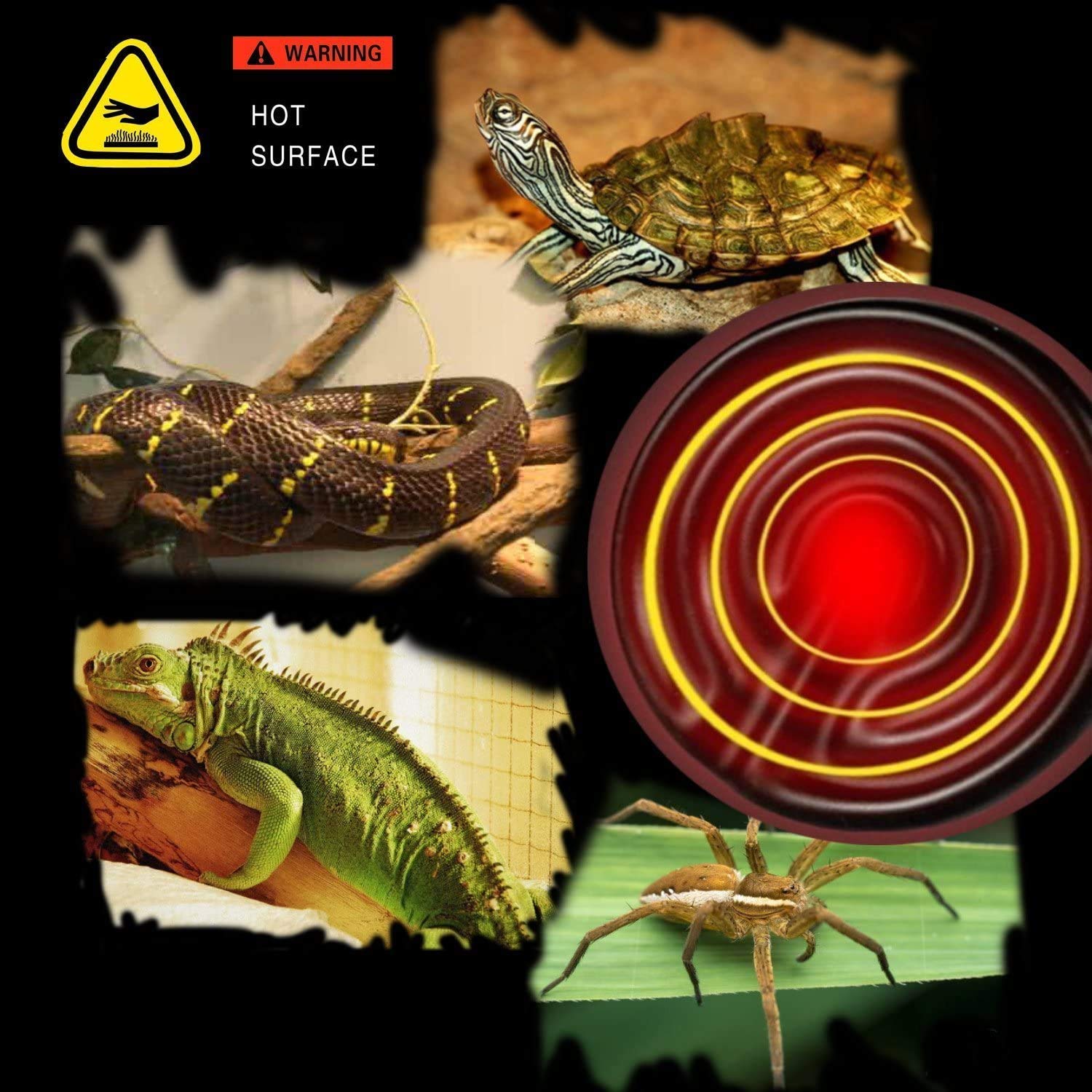 OMAYKEY 2-Pack 75W Ceramic Heat Emitter Bulbs with Digital Thermometer - Infrared Reptile Heat Lamp for Lizards, Turtles, Snakes, Amphibians & Chicken Coops - No Light Emission, Safe for Night Use - Perfect for Terrariums, Aquariums & Brooder Boxes