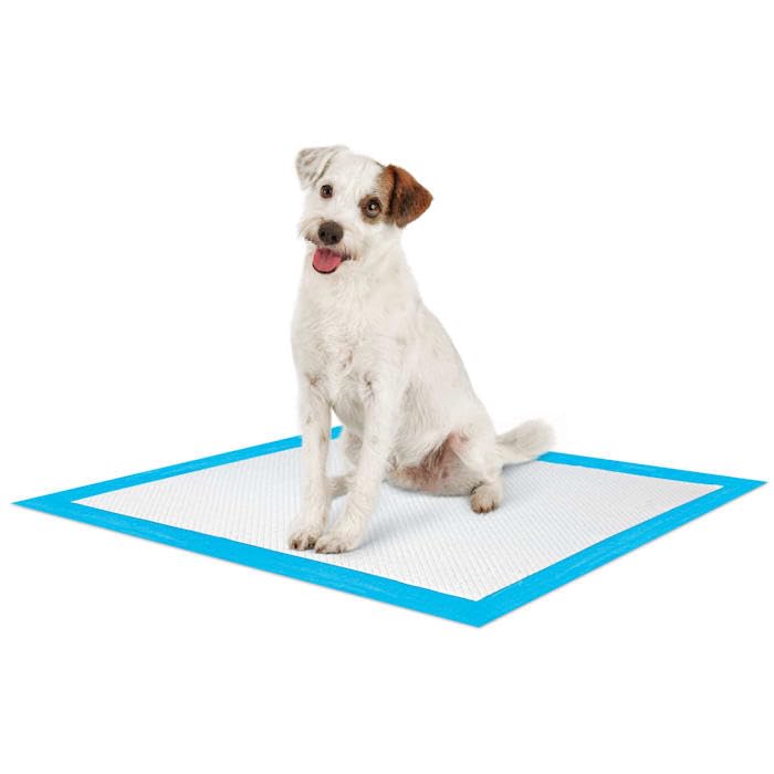 So Phresh Large Leak Guard Quilted Potty Pads - 50 Count White Dog Training Pads for Puppies & Adult Dogs - Super Absorbent for Indoor & Outdoor Use