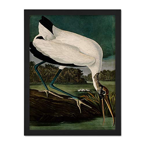 Framed Black 18X24