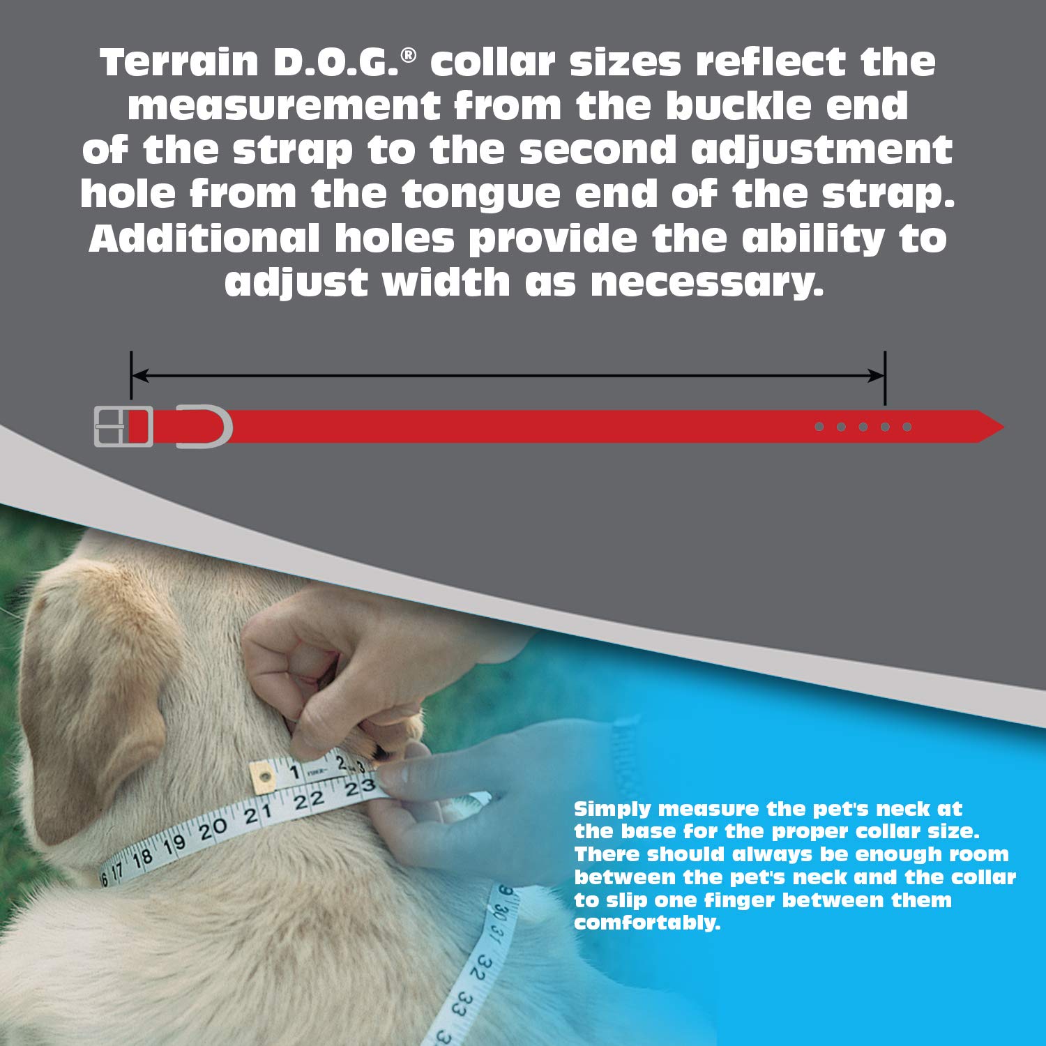 Brahma Webb Dog Collar - Durable Nylon Pet Collar with Heavy Duty Metal Buckle for Medium & Large Dogs - Perfect for Walking, Training & Outdoor Adventures
