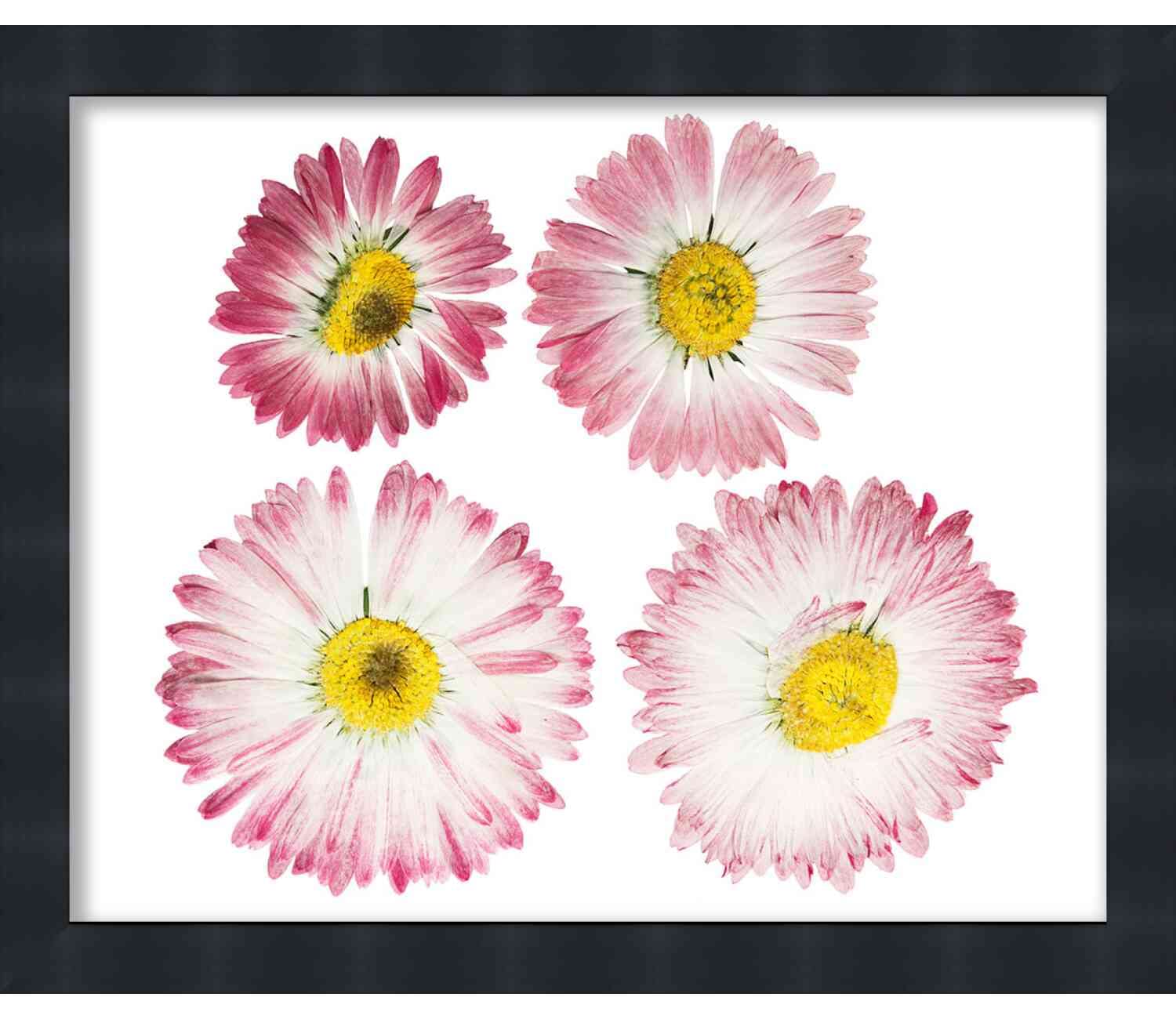26x22 Inch Contemporary Black Shadow Box Frame - 1 Inch Deep Interior for Displaying Collectibles, Photos & Memorabilia | Shatter-Resistant Acrylic Glass Included | Perfect for Wall Decor, Home Office & Gallery Displays
