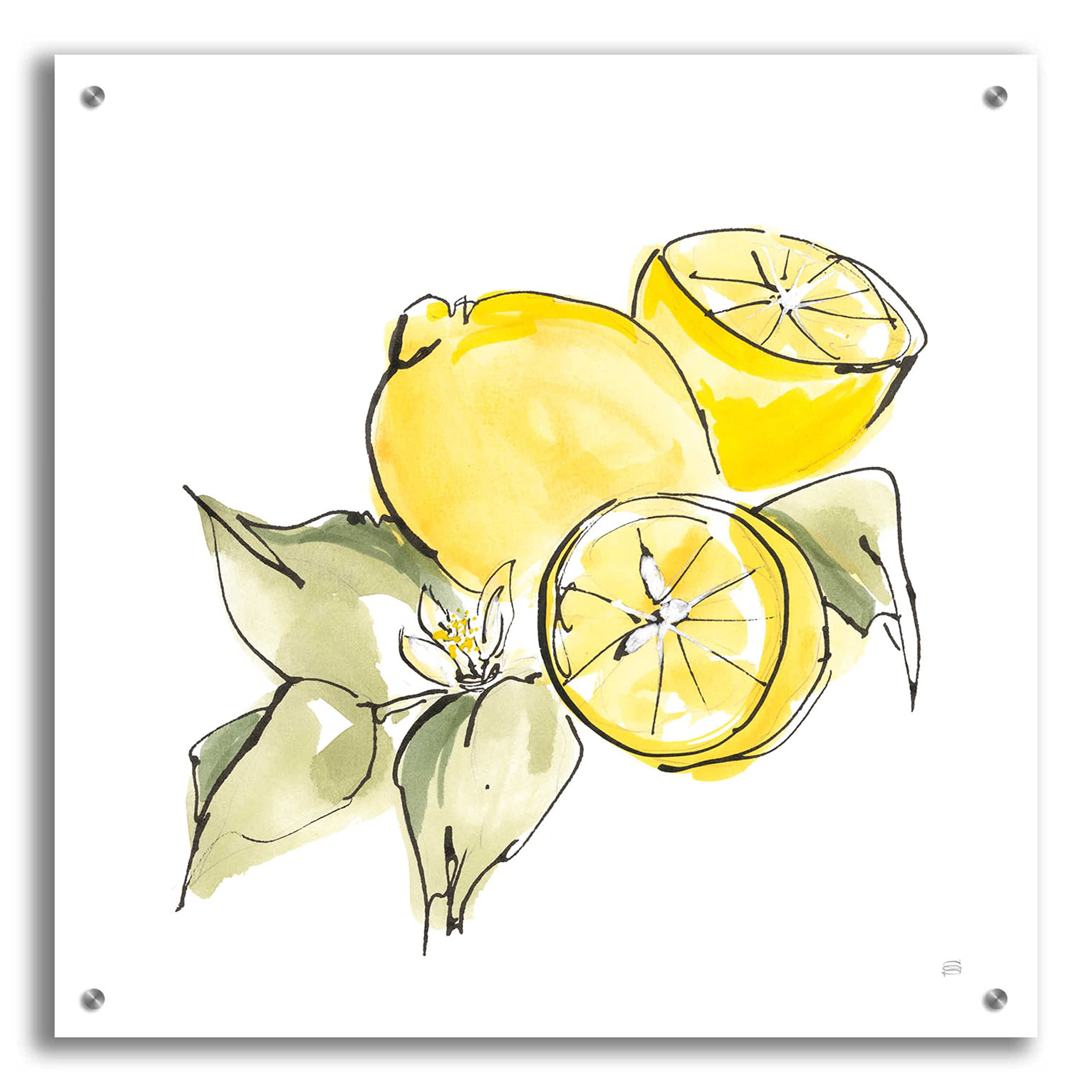 Lemon Still Life I by Chris Paschke - 24x24 Inch Vibrant Acrylic Glass Wall Art - Modern Kitchen & Dining Room Decor - Perfect for Home & Office
