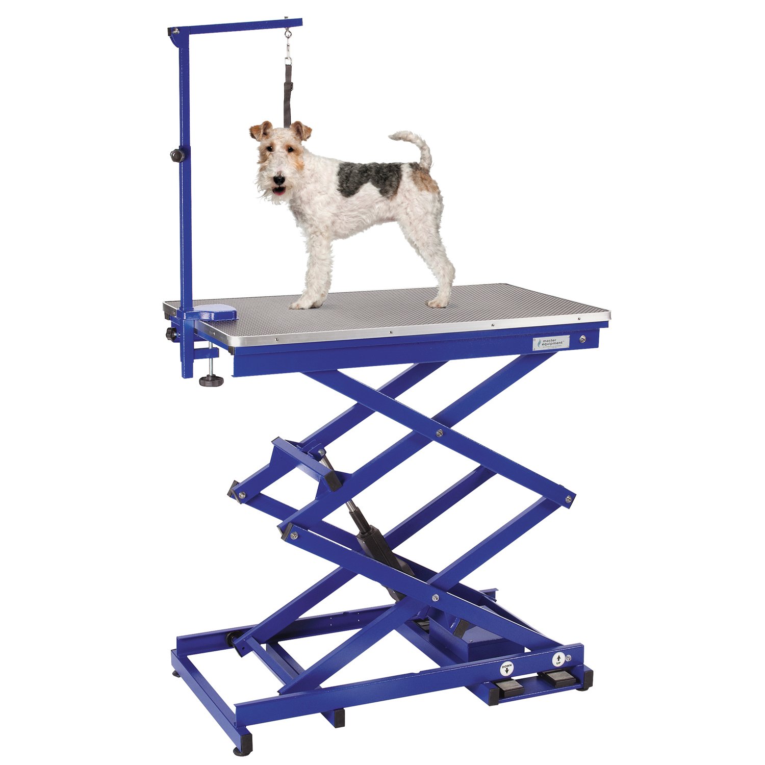 Master Equipment Xtend Electric Grooming Table for Dogs & Cats - Adjustable Height Blue Pet Grooming Station for Professional & Home Use