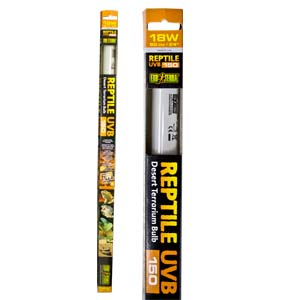 Exo Terra Terra Desert Light T8 UVB15 18W 60cm Reptile UVB Lamp for Desert Terrariums - Ideal for Bearded Dragons, Leopard Geckos & Other Desert Reptiles