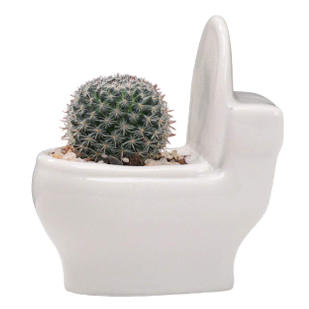 White Ceramic Planter Pot - 4.6