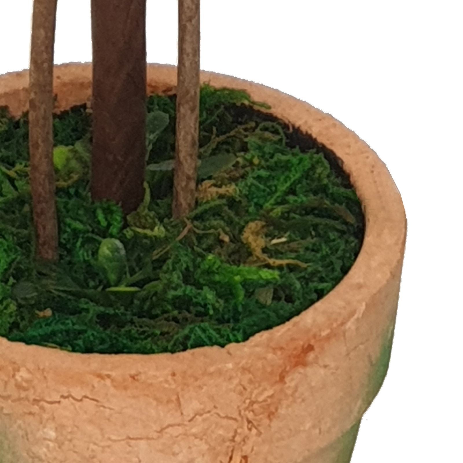21cm Artificial Topiary Duck Plant in Terracotta Look Pot - Decorative Home & Office Desk Decor by Criterion - Perfect for Indoor Greenery, Wedding Centerpieces, and Garden Decorations