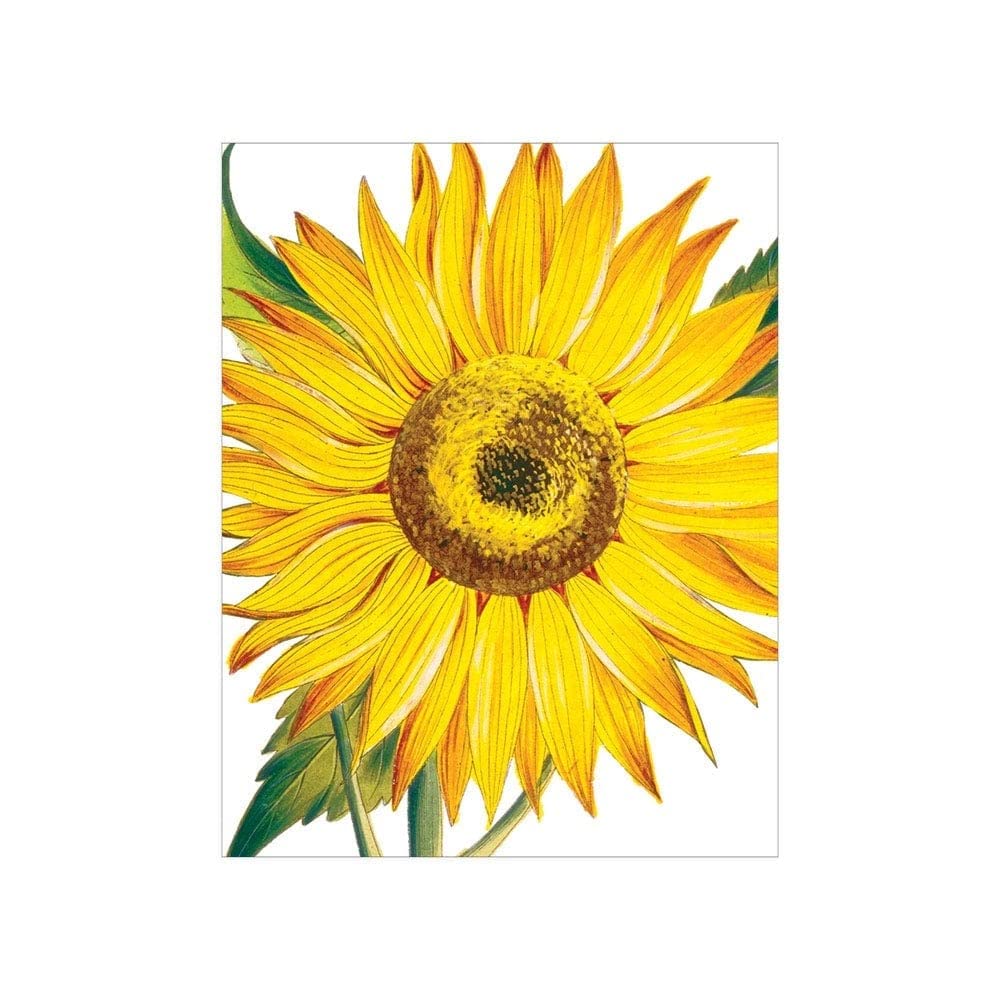 Sunflower Gift Enclosure Cards Set - 12 Mini Greeting Cards with Envelopes for Thank You Notes, Wedding Favors & Party Invitations | Perfect for Birthdays, Anniversaries & Special Occasions