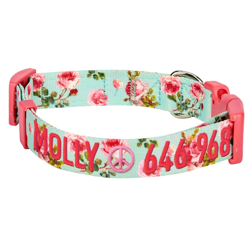 Blueberry Pet Personalized Martingale Safety Training Dog Collar - Adjustable Large Dog Collar with Custom Embroidered Pet Name & Phone Number - Perfect for Training, Walks & Outdoor Adventures (Turquoise, Large)