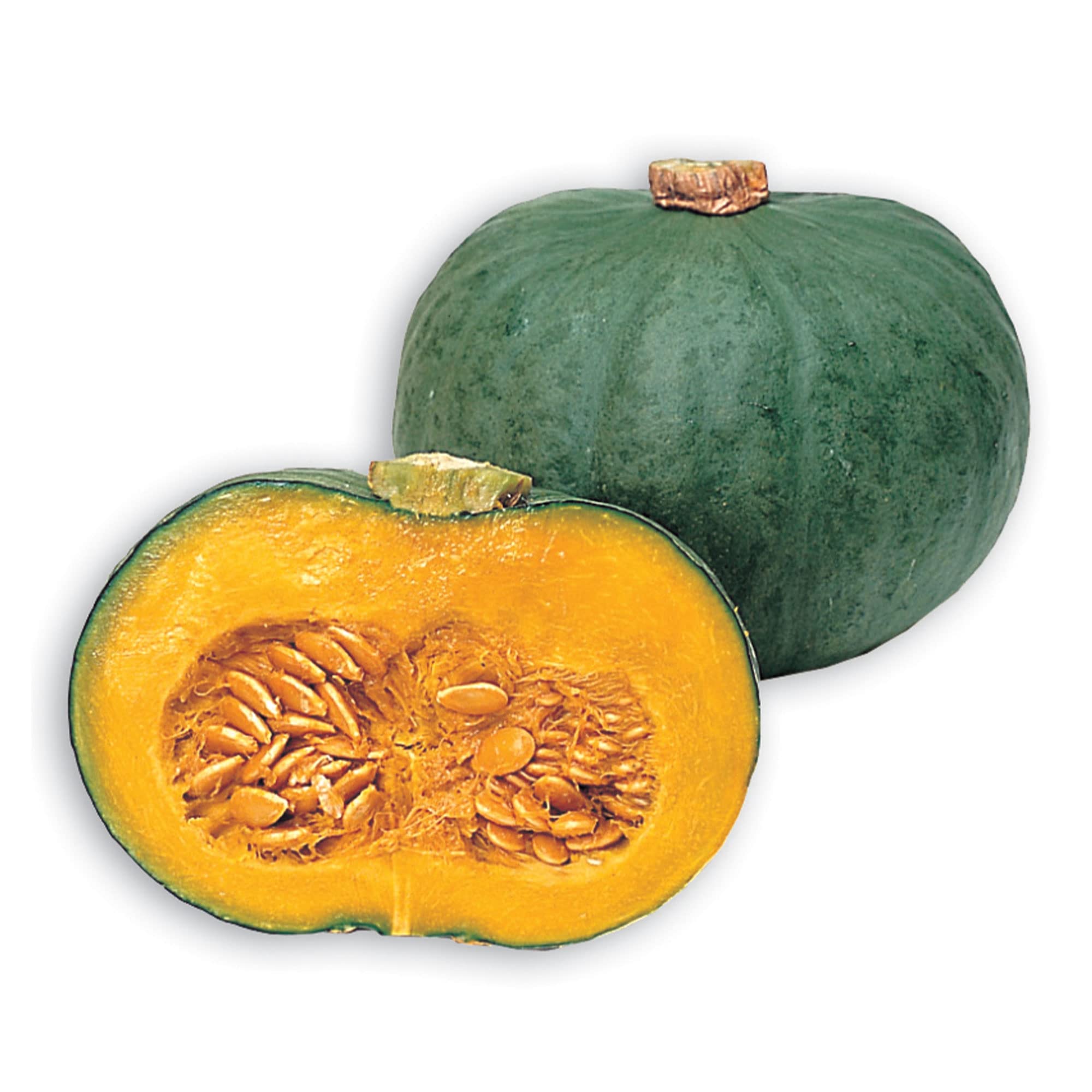 Organic Blue Kuri Winter Squash Seeds - Japanese Heirloom Variety - 1 Lb (~2400 Seeds) Non-GMO - Perfect for Asian Cuisine, Home Gardens & Fall Harvest Decorations