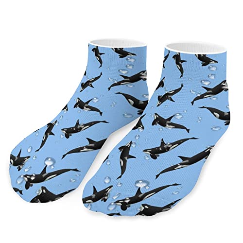 Killer Whales Orcas Ocean Sea Animals