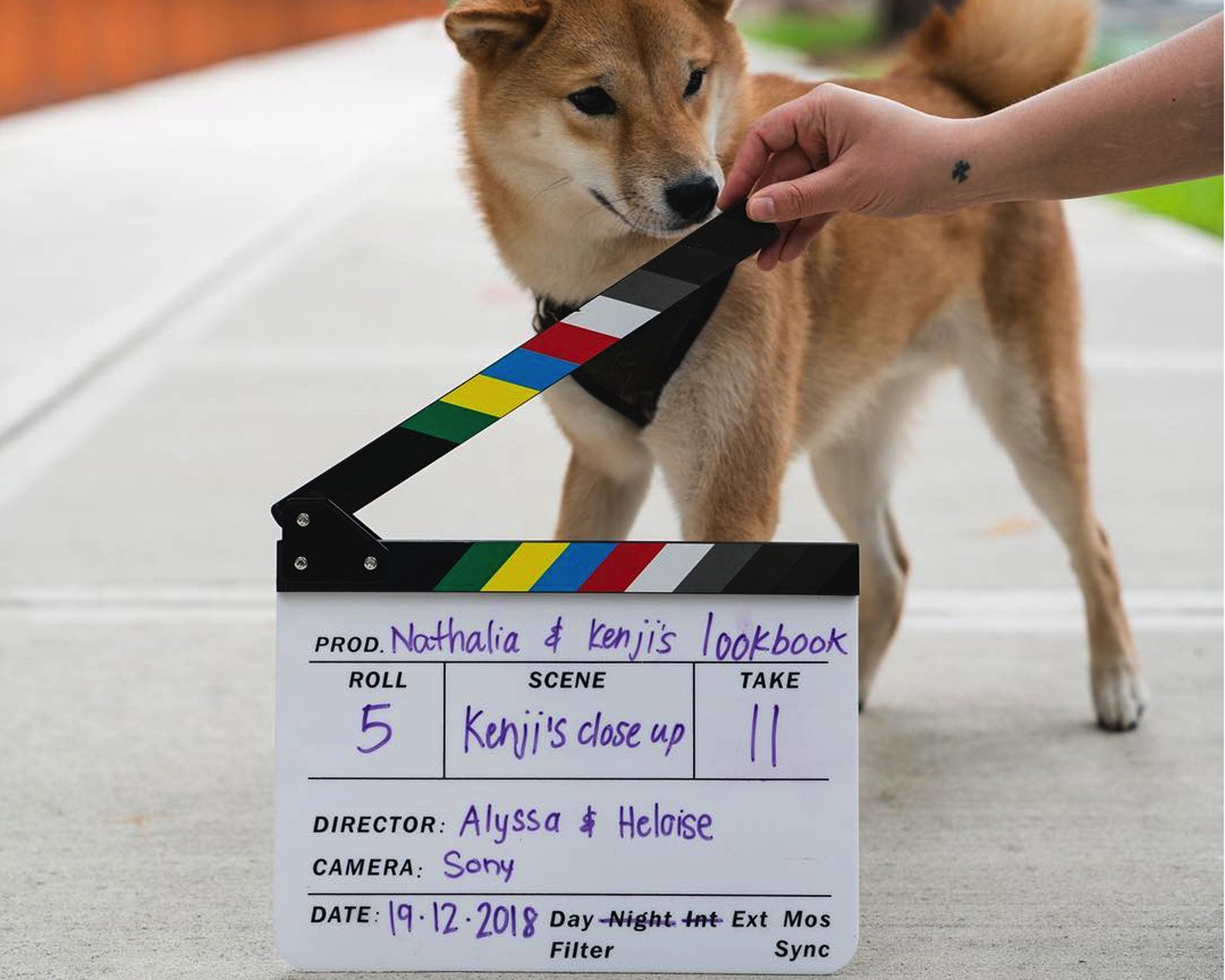 Professional Director's Acrylic Production Slate Clapperboard - Film & Video Shoot Essential for Movie Making, YouTube Videos, and Studio Productions