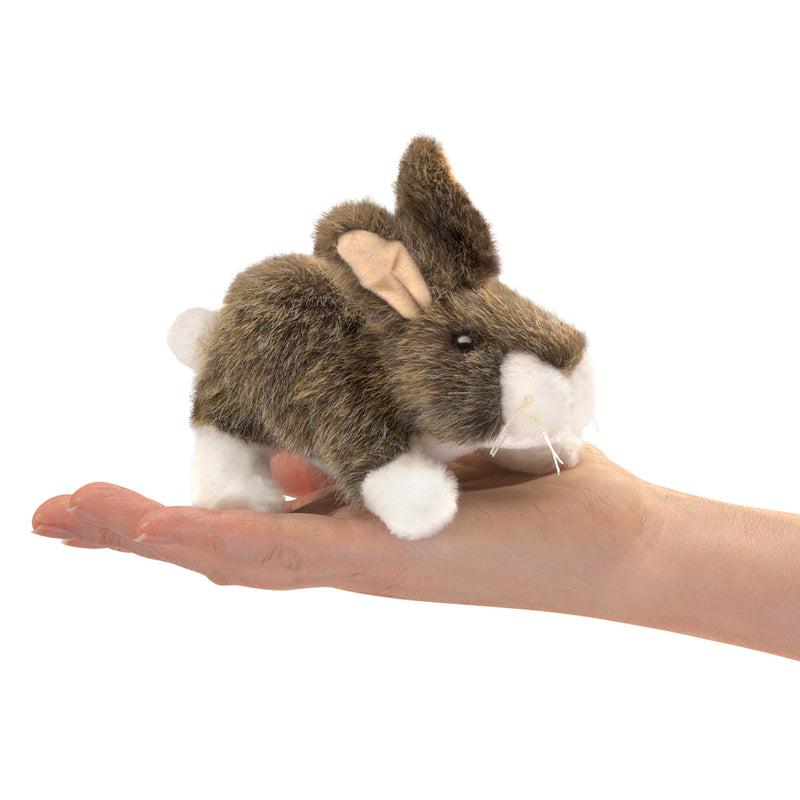 Folkmanis Finger Puppets - Hand Puppets for Kids, Storytelling & Educational Play - Perfect for Classroom, Home & Interactive Fun