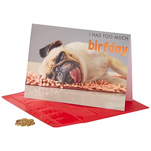 Pug on Rug