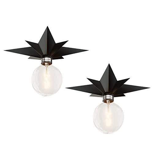 2 Pcs Black Ceiling Light